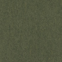 Sage Stain Swatch